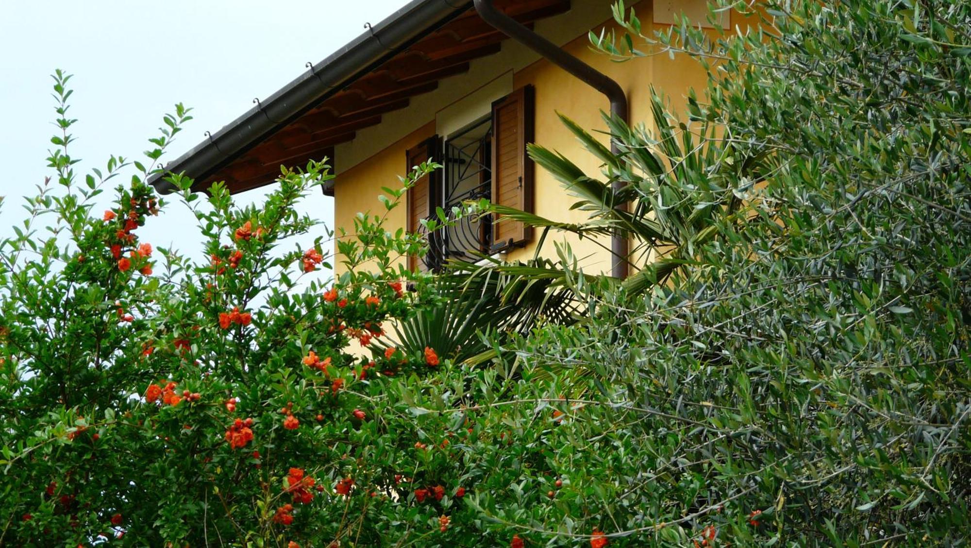 Albergo Le Piante Manerba del Garda Buitenkant foto